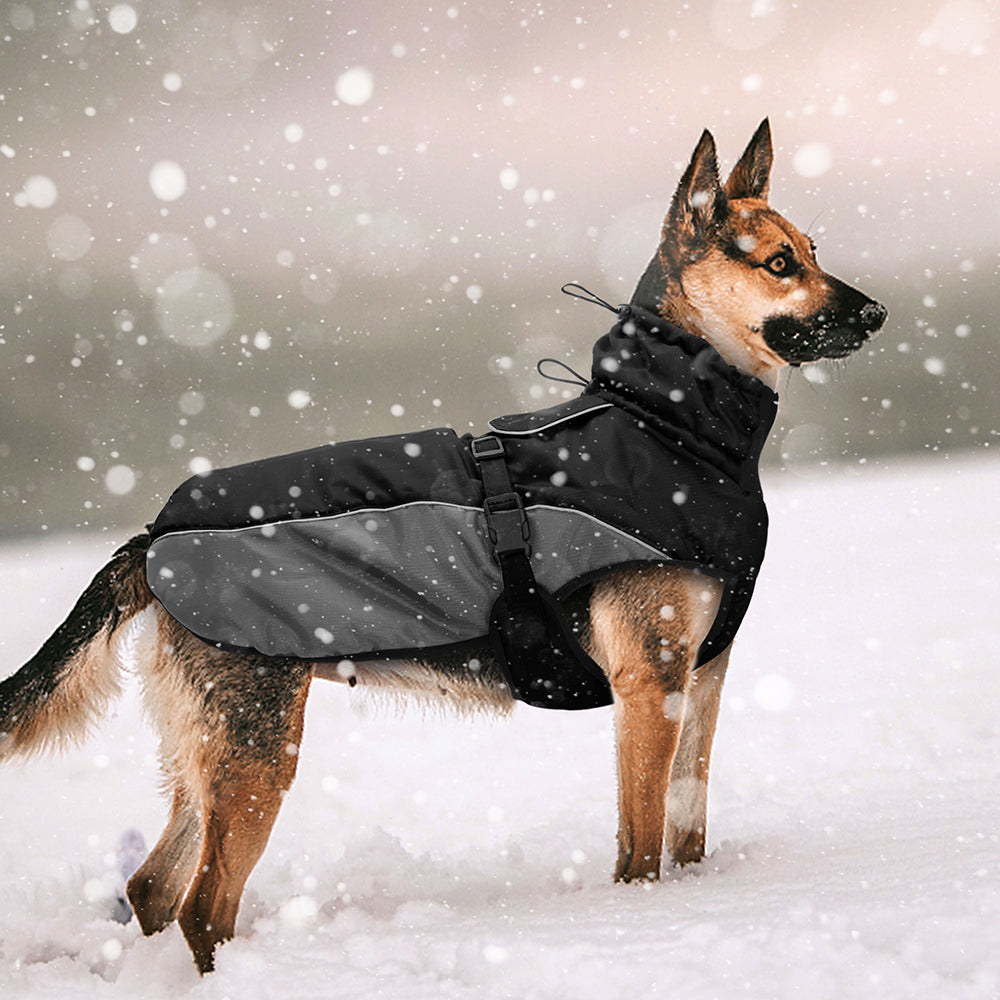 MANTEAU POUR CHIEN | RANDO