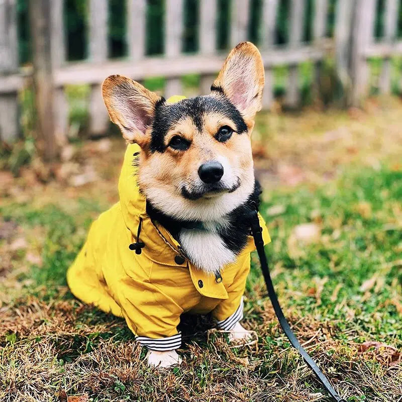 MANTEAU POUR CHIEN | MARINE