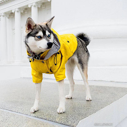 MANTEAU POUR CHIEN | MARINE