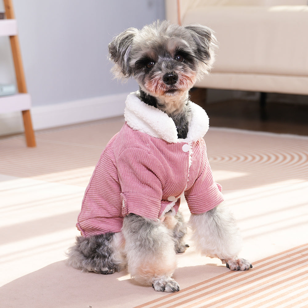 MANTEAU POUR CHIEN | JERSEY