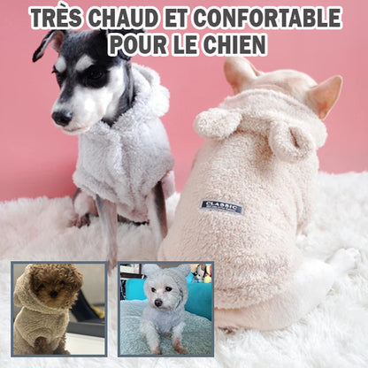 PULL POUR CHIEN | PAN-PAN™