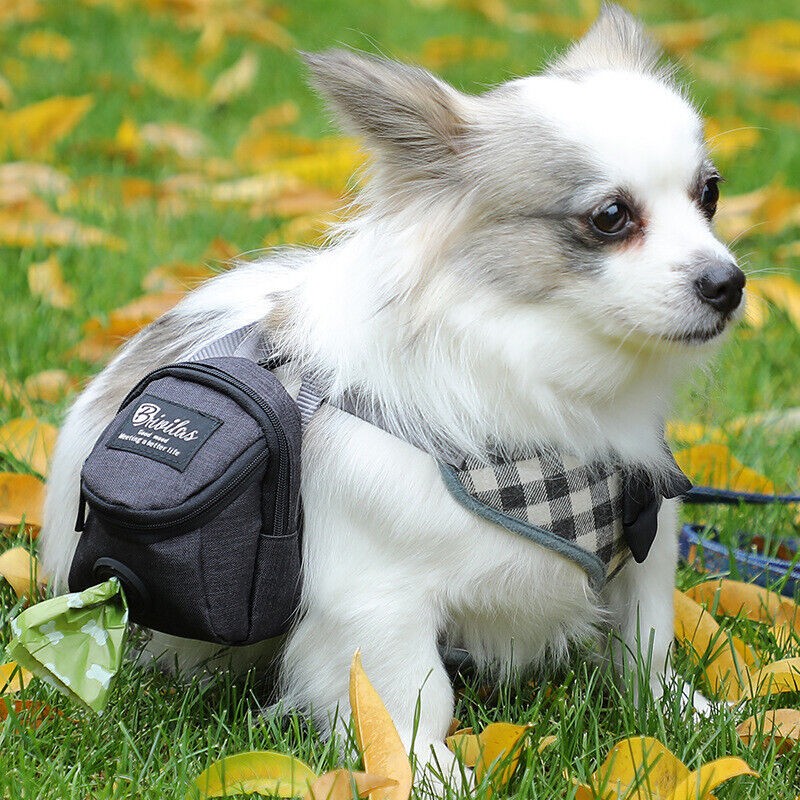 DISTRIBUTEUR SAC A CROTTES | Lycée ™